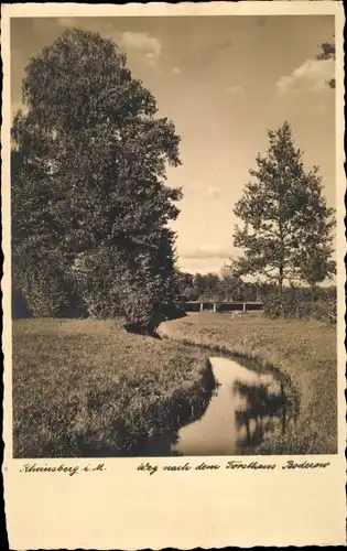 Ak Rheinsberg in der Mark, Weg nach Forsthaus Boberow, Flusspartie