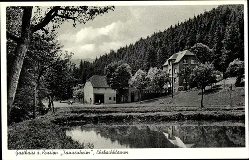 Ak Mermuth im Hunsrück, Ehrbachklamm, Gasthaus und Pension "Tannenheim"