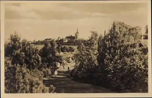Ak Stralsund in Vorpommern, Hindenburgpromenade und Stadt
