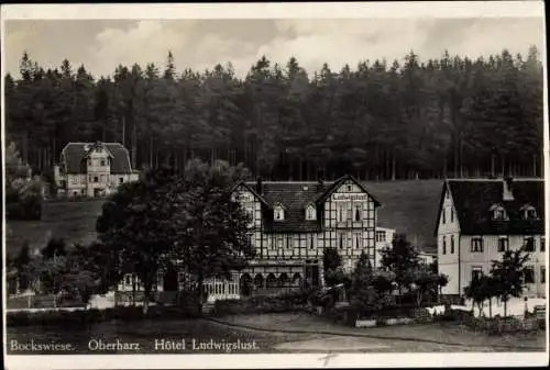 Ak Hahnenklee Bockswiese Goslar im Harz, Hotel Ludwigslust