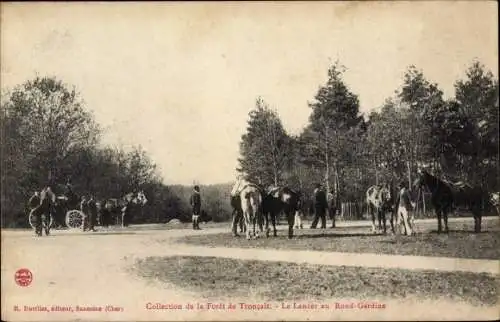 Ak Tronçais Allier, Foret, Le Lancer au Rond Gardine