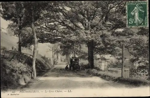 Ak Plombières les Bains Lothringen Vosges, Le Gros Chene