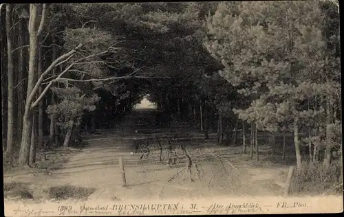 Ak Ostseebad Brunshaupten Kühlungsborn, Weg zum Strand