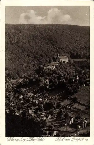 Ak Schwarzburg in Thüringen, Blick vom Trippstein