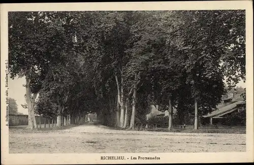 Ak Richelieu Indre et Loire, Les Promenades