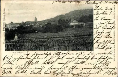 Ak Avize Marne, Blick auf den Ort