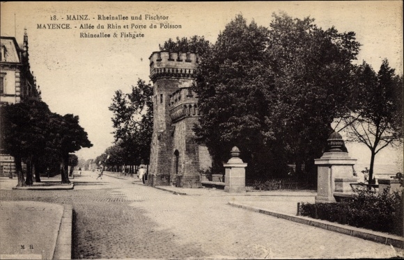 Ak Mainz, Rheinallee und Fischtor, Allée du Rhin et Porte