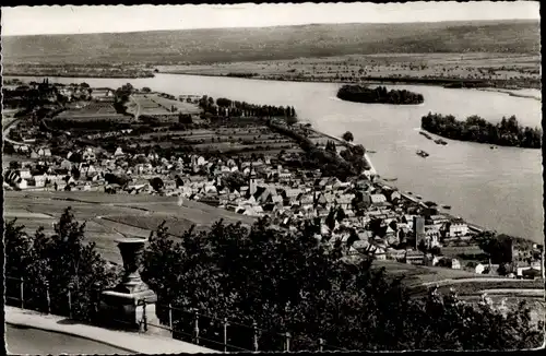Ak Rüdesheim am Rhein, Blick aus der Ferne auf den Ort