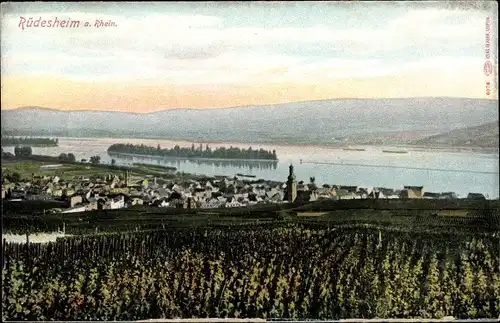 Ak Rüdesheim am Rhein, Blick aus der Ferne auf den Ort
