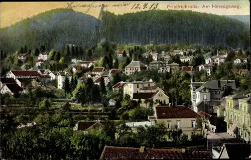 Ak Friedrichroda im Thüringer Wald, Herzogsweg, Gesamtansicht