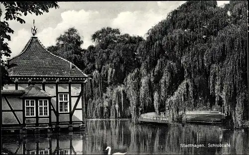 Ak Stadthagen in Niedersachsen, Stadtcafé, Schwäne