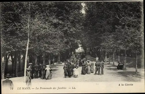 Ak Le Mans Sarthe, La Promenade des Jacobins