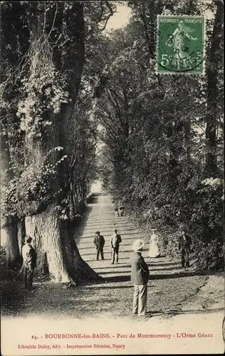 Ak Bourbonne les Bains Haute Marne, Parc de Montmorency, L'Orme Geant