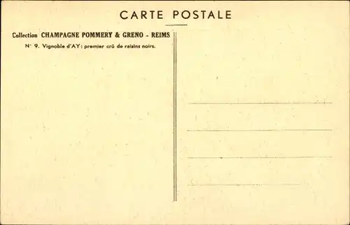 Ak Reims Marne, Champagne Pommery & Greno,vignoble d'ay, premier Crû des raisins noirs, Weinberg
