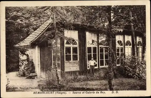 Ak Remoncourt Vosges, Source et Galerie du Rey