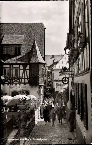 Ak Rüdesheim am Rhein, Drosselgasse, Hotel Lindenwirt, Drosselhof