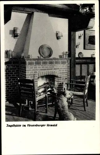 Ak Zetel in Oldenburg Friesland, Jagdhütte im Neuenburger Urwald, Kamin, Hund