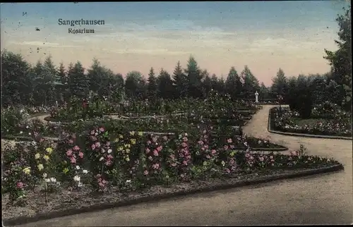 Ak Sangerhausen am Südharz, Rosarium, Gartenanlage
