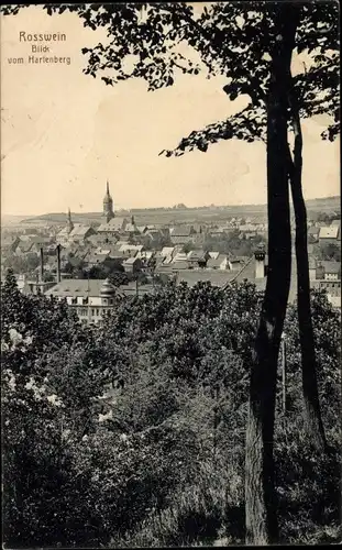 Ak Roßwein in Sachsen, Blick vom Hartenberg