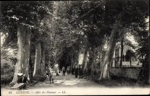 Ak Luxeuil les Bains Haute Saône, Allée des Platanes