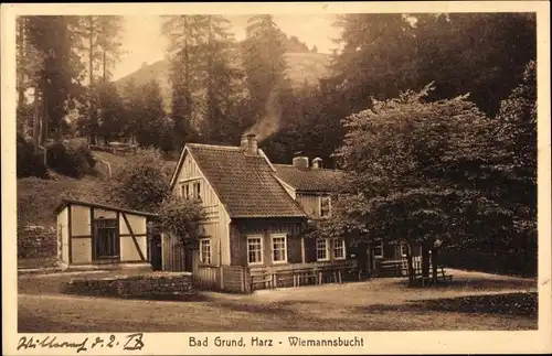 Ak Bad Grund im Harz, Wiemannsbucht, Wald