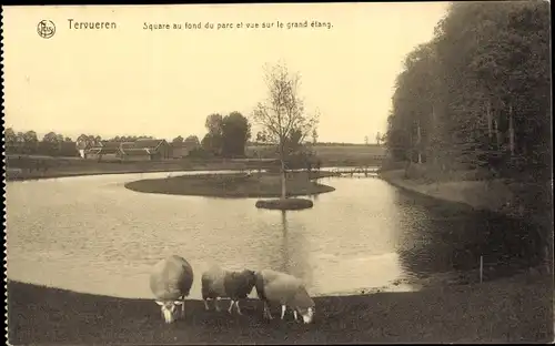 Ak Tervuren Tervueren Flämisch Brabant Flandern, Square au fond du parc, Vue sur le grand etang