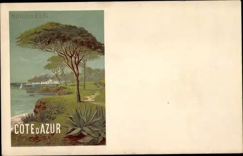 Künstler Ak D'Alesi, H., Cote d'Azur, Baum, Strand, Ufer