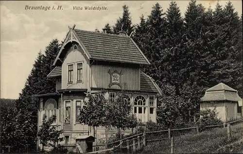 Ak Braunlage im Oberharz, Villa Waldidylle