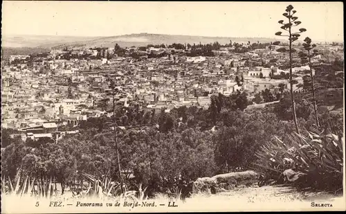 Ak Fès Fez Marokko, Panorama vu de Borjd Nord