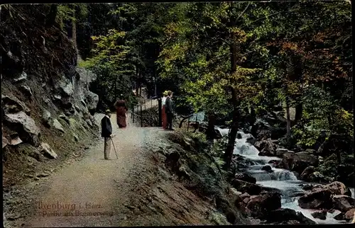 Ak Ilsenburg am Nordharz, Partie am Bremserweg