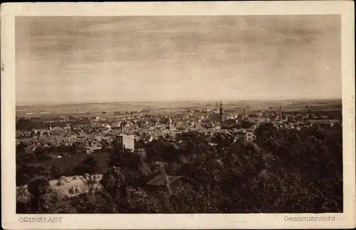 Ak Grünstadt in der Pfalz, Gesamtansicht