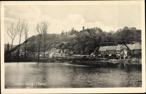 Ak Liebenburg b. Braunlage Kr. Goslar Harz, Teich