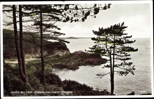 Ak Kanalinsel Guernsey, Marble Bay from Jerbourg Pine Forest