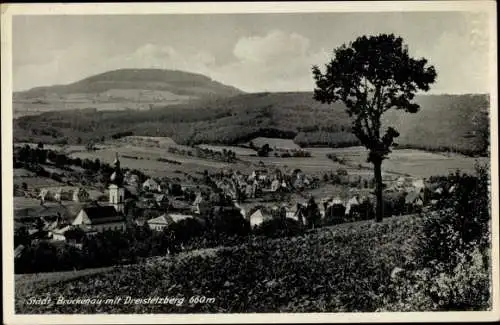 Ak Bad Brückenau im Sinntal Unterfranken, Panorama mit Dreistelzberg