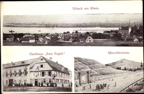 Ak Erbach Eltville am Rhein Hessen, Gesamtansicht, Gasthaus Zum Engel, Marcobrunnen