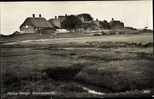 Ak Hallig Hooge in Nordfriesland, Backenswarft