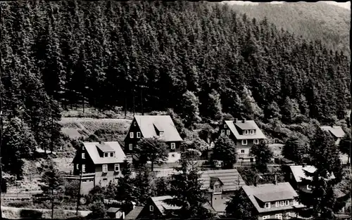 Ak Willingen Upland in Hessen, Teilansicht der Ortschaft, Wald