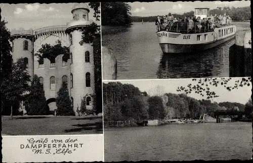 Ak Berlin Zehlendorf Wannsee, Pfaueninsel, Schloss, Spreedampfer MS Elfe, Plötzensee