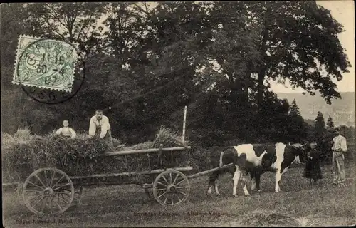 Ak Vosges, Französische Bauern, Kühe, Fuhrwerk, Stroh