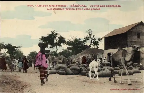 Ak Senegal, Traite des arachides, les graines pretes pour etre pesées, Kamele