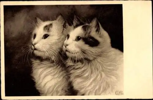 Künstler Ak Zwei kleine langhaarige Katzen