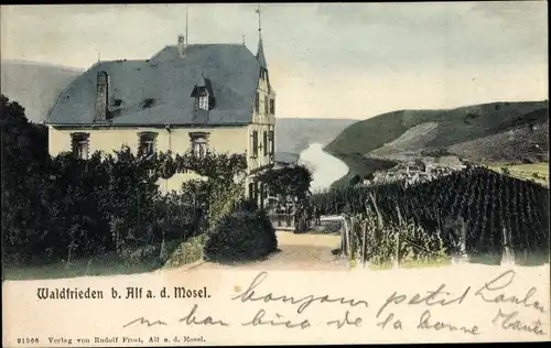 Ak Alf an der Mosel Rheinland Pfalz, Gastwirtschaft Waldfrieden, Blick ins Moseltal