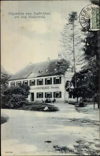 Ak Niederwald Rüdesheimer Hafen, Hotel Jagdschloss