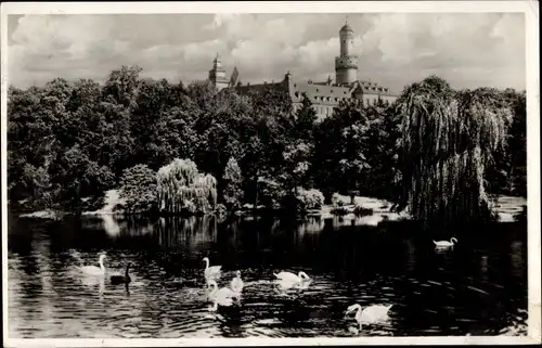 Ak Bad Homburg vor der Höhe Hessen, Schloss, Weiher mit Schwänen