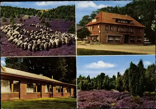 Ak Volkwardingen Bispingen in der Lüneburger Heide, Gasthof Lüdtke, Heidschnucken