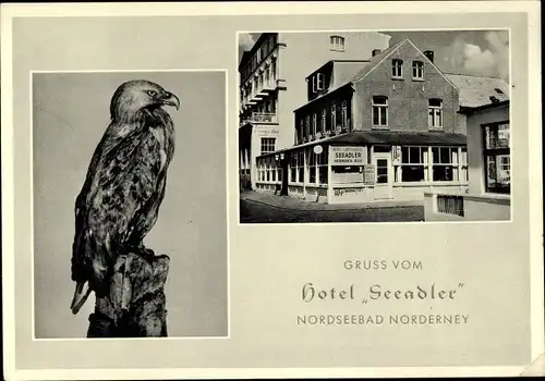 Ak Nordseebad Norderney Ostfriesland, Hotel Seeadler