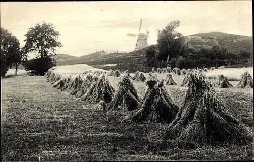 Ak Belgien, Blick über Felder zu einer Windmühle, Heuhaufen