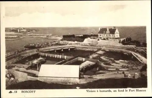 Ak Roscoff Finistère, Viviers a homards, au fond le Fort Bloscon