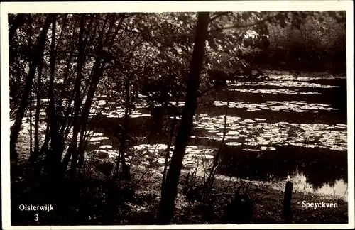 Ak Oisterwijk Nordbrabant Niederlande, Speyckven