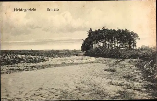 Ak Ermelo Gelderland, Heidegezicht
